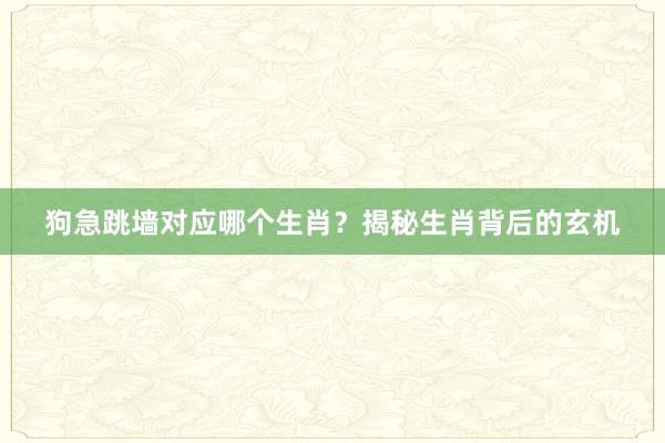 狗急跳墙对应哪个生肖？揭秘生肖背后的玄机