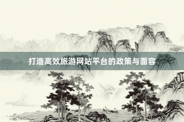 打造高效旅游网站平台的政策与面容