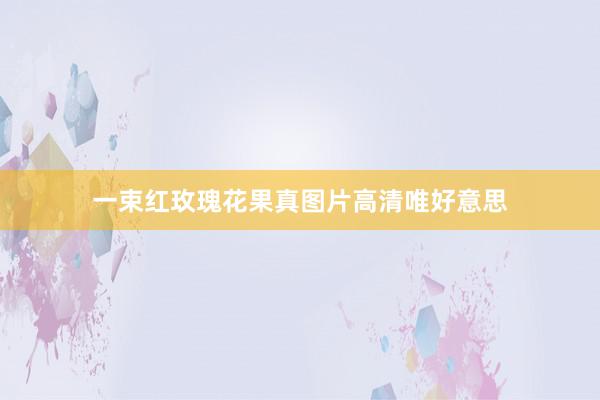 一束红玫瑰花果真图片高清唯好意思
