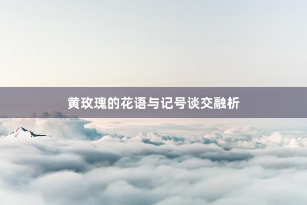 黄玫瑰的花语与记号谈交融析