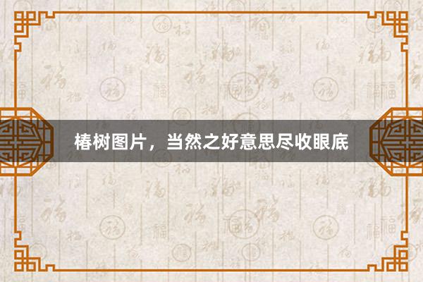 椿树图片，当然之好意思尽收眼底
