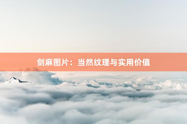 剑麻图片：当然纹理与实用价值